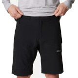 Men's Shorts Columbia Silver Ridge™ Black
