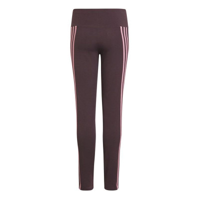 Sport leggings for Women Adidas Purple