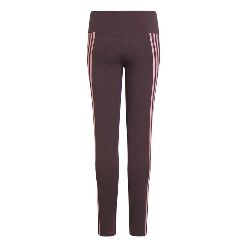 Sport leggings for Women Adidas Purple