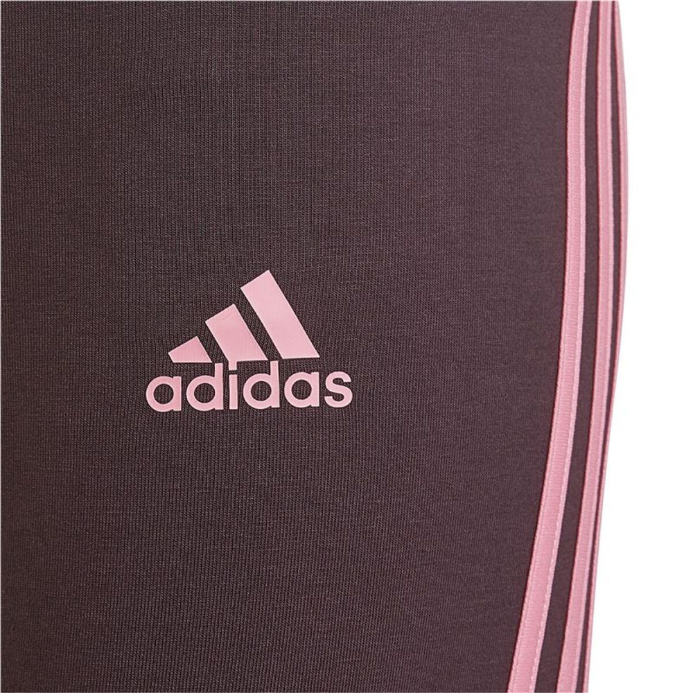 Sport leggings for Women Adidas Purple