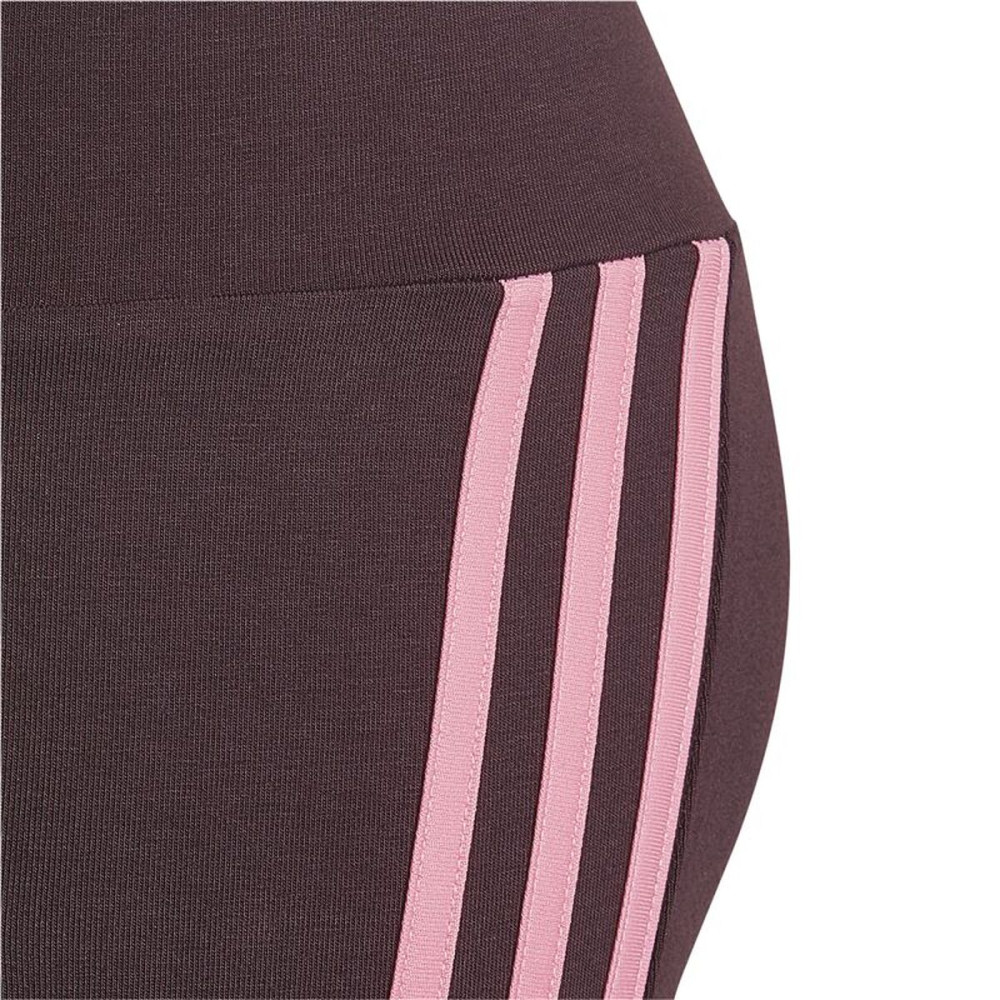 Sport leggings for Women Adidas Purple