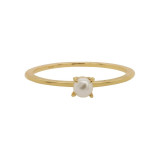 Ladies' Ring 24KAE 12424Y/60