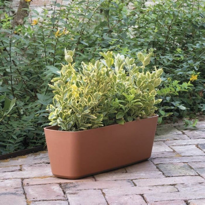 Plant pot Deroma