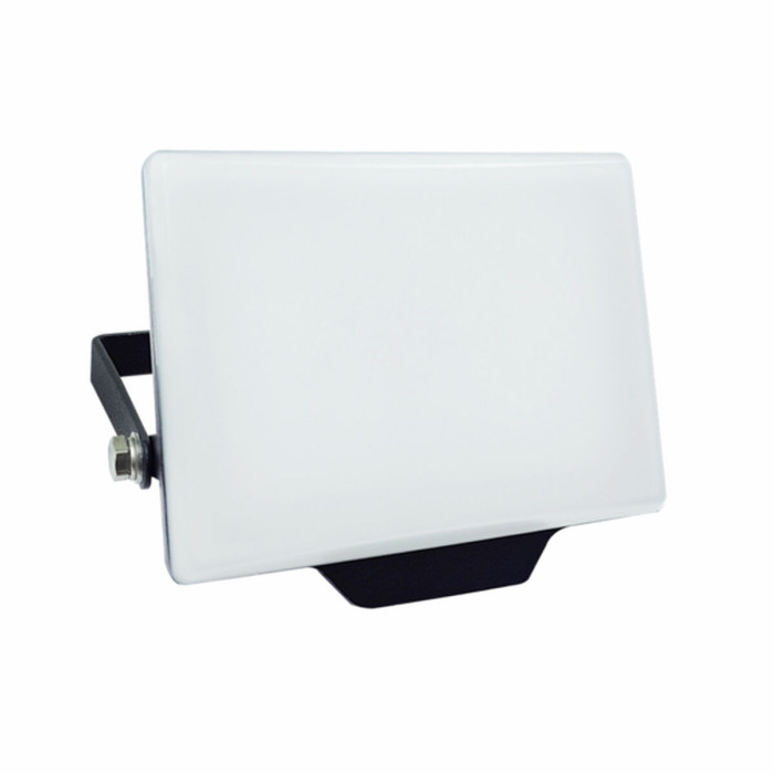 Floodlight/Projector Light Silver Electronics 173302 Black G 20 W (Cool White)