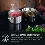 Induction Hot Plate AEG