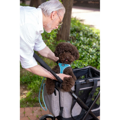 Shopping cart Carlett CUBE P PINE Green