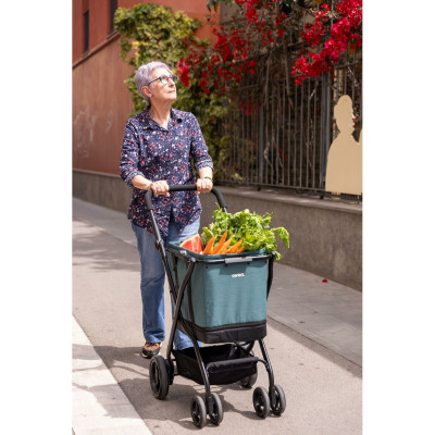 Shopping cart Carlett CUBE S PINE Green