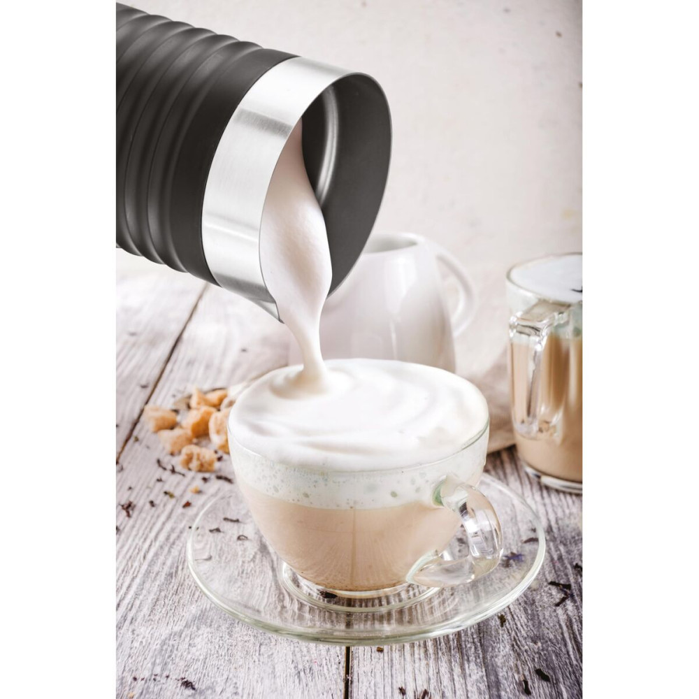 Milk Frother UFESA 71606200 Steel