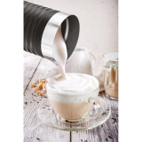 Milk Frother UFESA 71606200 Steel