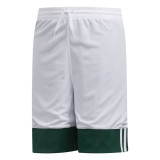 Sports Shorts Adidas 3G Speed ReversiBig