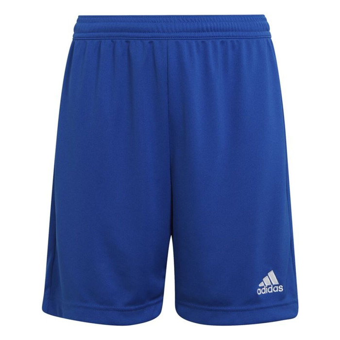 Sports Shorts Adidas Ent22 Y Blue