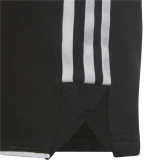 Sports Shorts Adidas Tiro 23