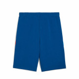 Sports Shorts Puma BMW Sweat s,Pro Blue M Men