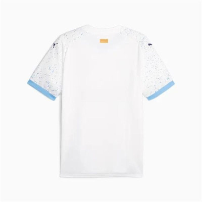 Football T-Shirt Puma 773526 02 (M)