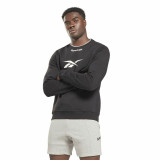 Men’s Sweatshirt without Hood Reebok RI Arch Logo Vector White Black