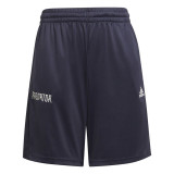 Sport Shorts for Kids Adidas Predator Kids Blue