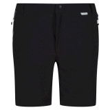 Men's Shorts Regatta II Regatta Black
