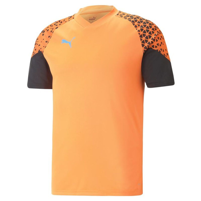 Men's Short-sleeved Football Shirt Puma Individual Cup Training Ultra
