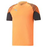 Men's Short-sleeved Football Shirt Puma Individual Cup Training Ultra