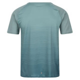 T-shirt Regatta Pinmor Aquamarine