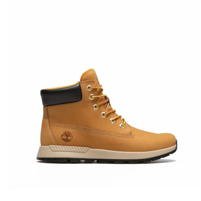 Men's Trainers Timberland Brown