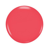 Nail polish Max Factor NAILFINITY 12 ml