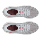 Running Shoes for Adults Under Armour Infinite Elite Grey