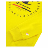 Men’s Long Sleeve T-Shirt Champion