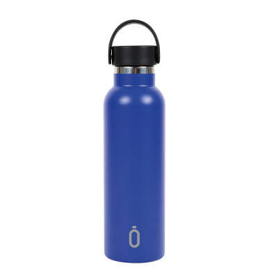 Thermal Bottle Safta Azul reflex Blue Silicone Stainless steel