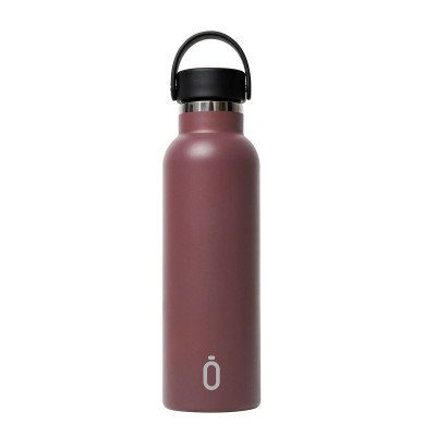 Thermal Bottle Safta Cacao Brown Silicone Stainless steel