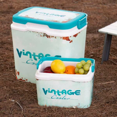 Portable Fridge Aktive Vintage 5 L