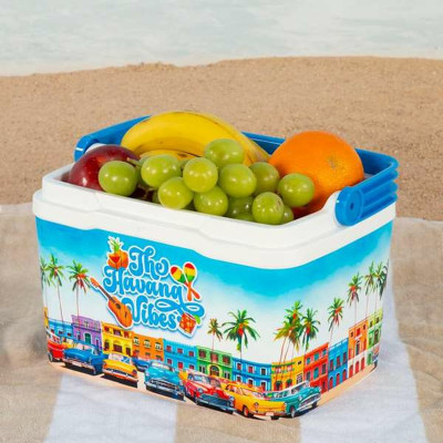 Portable Fridge Aktive The Havana Vibes 5 L