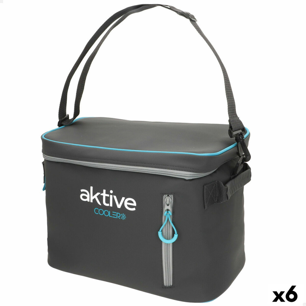 Portable Fridge Aktive 18 L 34 x 26 x 21 cm Black (6 Units)