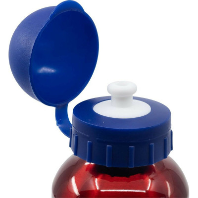 Water bottle The Avengers CZ11259 Red 530 ml Aluminium