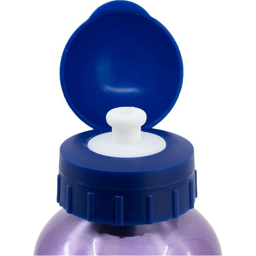 Water bottle Frozen CZ11261 530 ml Blue Aluminium