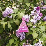 Car Air Freshener Dr Marcus Fresh Bag Chewing gum Fragrance Small bag