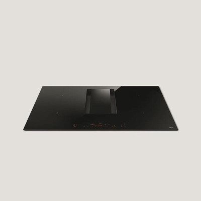 Induction Hot Plate Elica