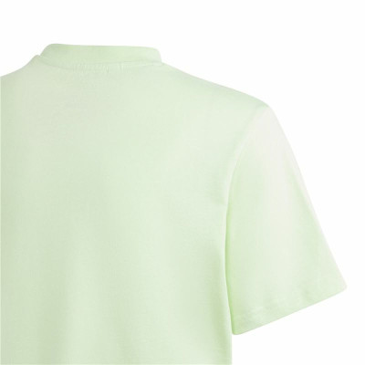 Short Sleeve T-Shirt Adidas Table Illustrated Light Green