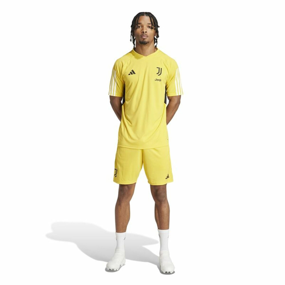 Sports Shorts Adidas Juventus Yellow