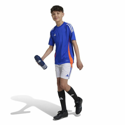 Football T-Shirt Adidas Tiro24 Blue