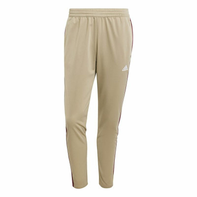 Tracksuit Adidas Spw Small Logo Tricot Colorblock Beige Men
