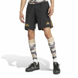 Sports Shorts Adidas Tiro Downtime Pride Black