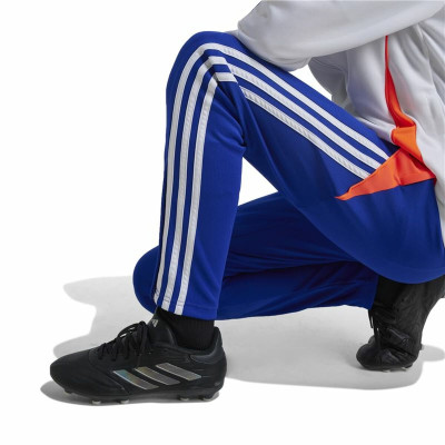 Long Sports Trousers Adidas Tiro24 Training Slim Blue