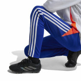 Long Sports Trousers Adidas Tiro24 Training Slim Blue