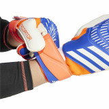 Goalkeeper Gloves Adidas Predator Match Multicolour Adults