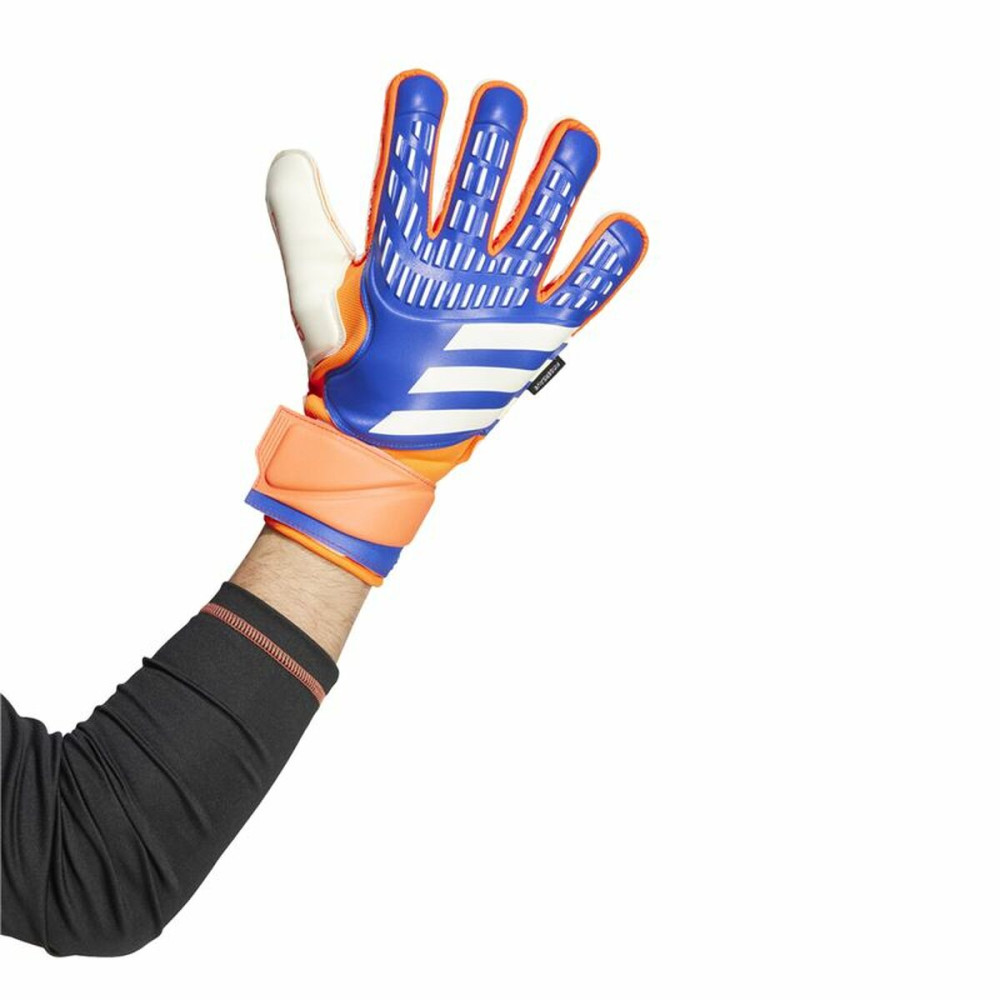 Goalkeeper Gloves Adidas Predator Match Blue Adults