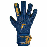 Goalkeeper Gloves Reusch Attrakt Freegel Blue Adults