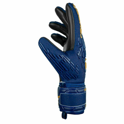 Goalkeeper Gloves Reusch Attrakt Freegel Blue Adults