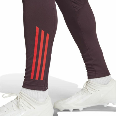 Long Sports Trousers Adidas Fc Bayern 24/25 Tiro24 Brown Maroon Men