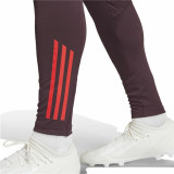 Long Sports Trousers Adidas Fc Bayern 24/25 Tiro24 Brown Maroon Men